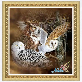 животные сова полная экипировка 5d сделай сам картинки 4811R - Круглая алмазная вышивка крестиком алмазная мозаика